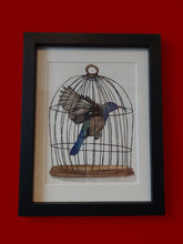 Load image into Gallery viewer, Palestine Sunbird