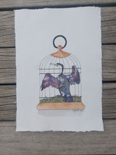 Load image into Gallery viewer, Kāruhiruhi aka Pied Shag