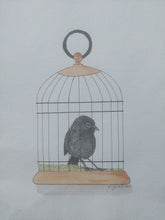 Load image into Gallery viewer, Kakaruia aka Chatham Island black robin