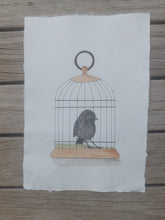 Load image into Gallery viewer, Kakaruia aka Chatham Island black robin