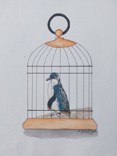 Kororā aka Little penguin