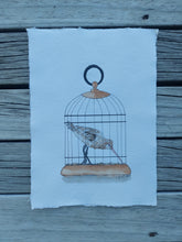 Load image into Gallery viewer, Kuaka aka Bar-tailed Godwit