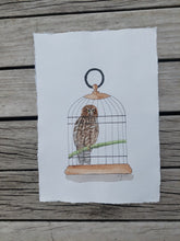 Load image into Gallery viewer, Ruru aka Morepork