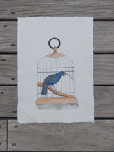 Load image into Gallery viewer, Huia