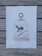 Load image into Gallery viewer, Miromiro aka Tomtit