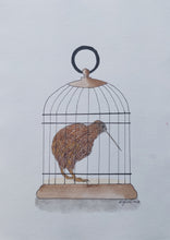 Load image into Gallery viewer, North Island brown kiwi