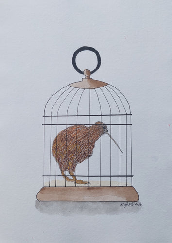 North Island brown kiwi