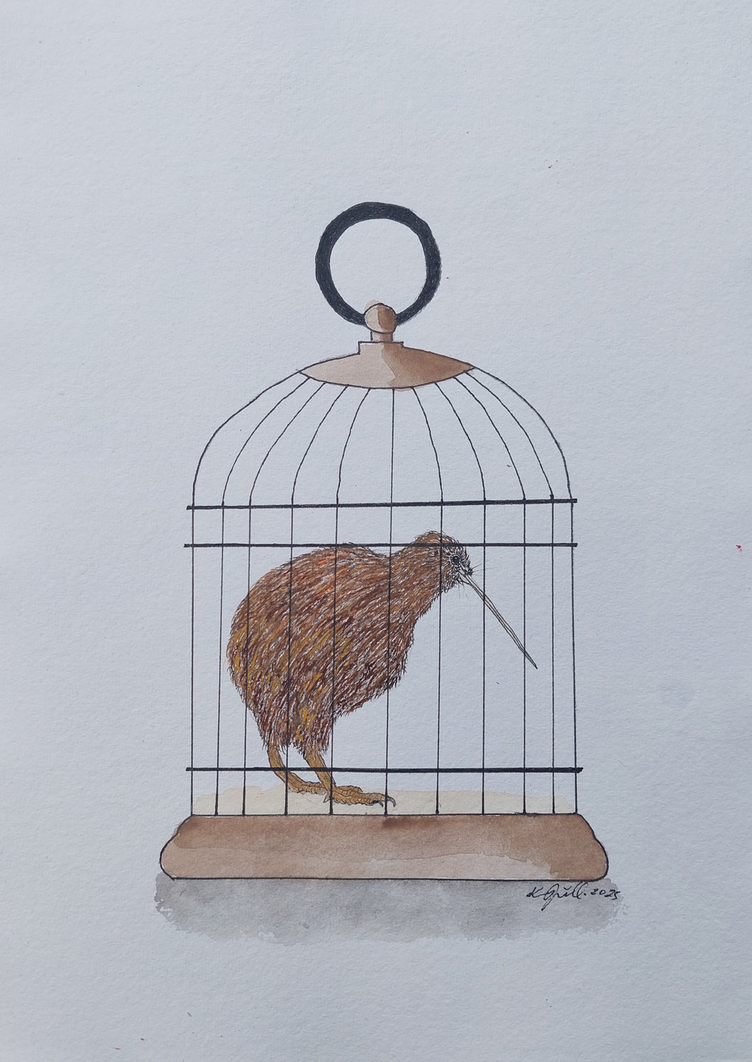 North Island brown kiwi