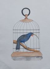 Load image into Gallery viewer, Huia