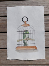 Load image into Gallery viewer, Kererū aka NZ Woodpigeon