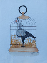 Load image into Gallery viewer, Secretarybird
