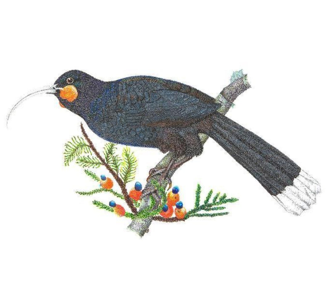 Giclée print - Lady Huia with Kahikatea