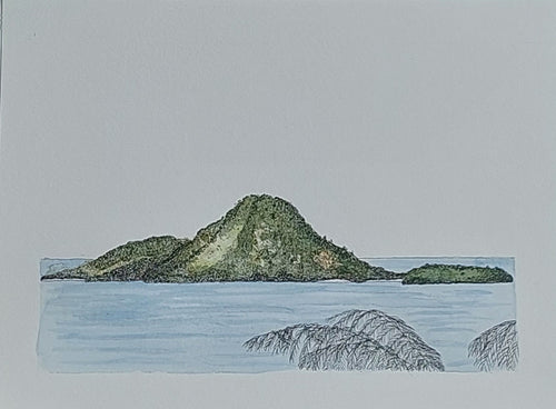 Moutohorā Island (Whale Island)