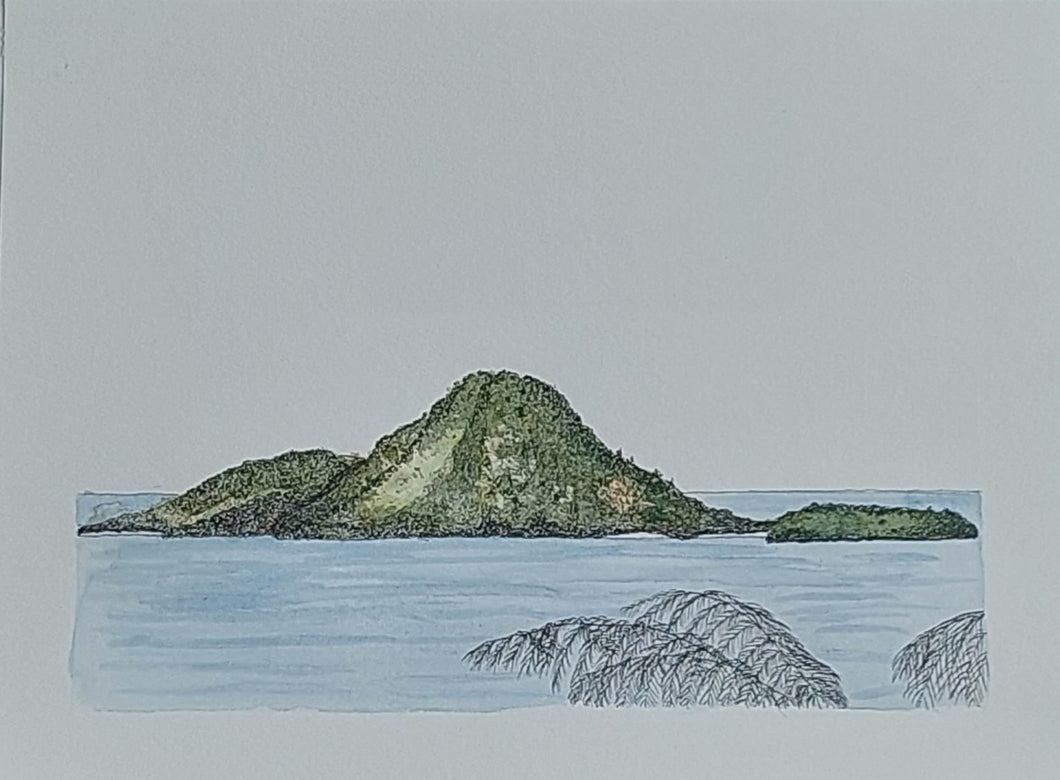 Moutohorā Island (Whale Island)