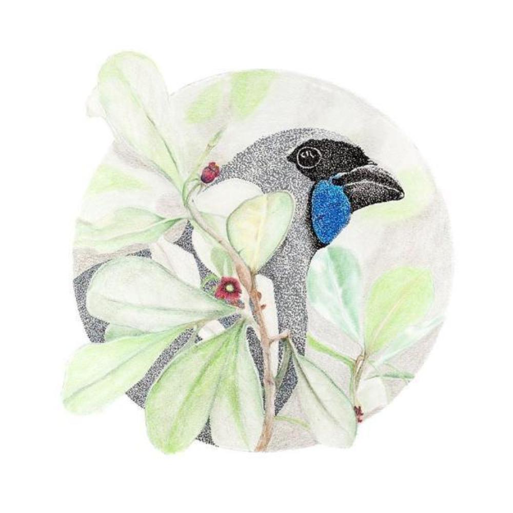 Giclée print - Kōkako amongst the Karo