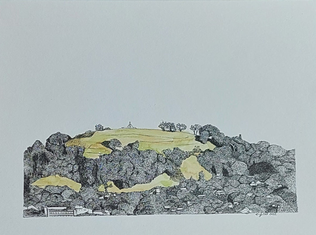 Maungawhau (Mt Eden)