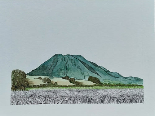 Pūtauaki/Mount Edgecombe
