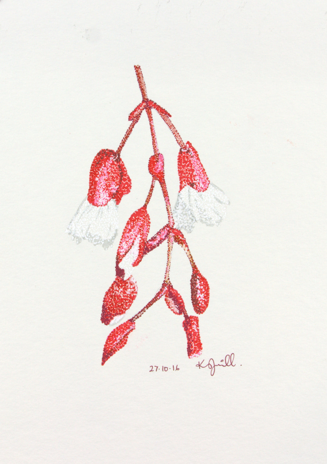 Tagimaucia - National flower of Fiji