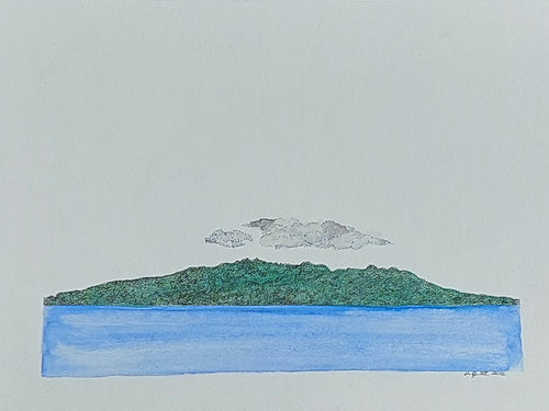 Te Hauturu-o-Toi (Little Barrier Island)