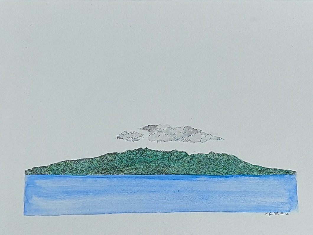 Te Hauturu-o-Toi (Little Barrier Island)