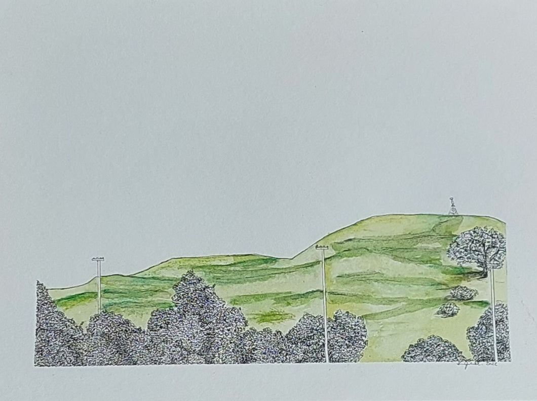 Te Taurere (Taylors Hill)