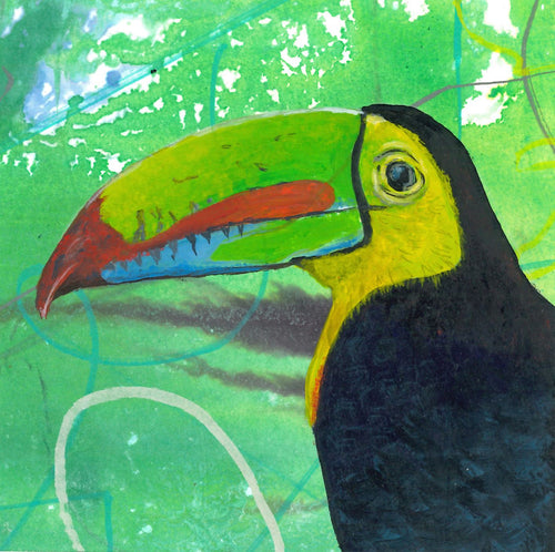 Greeting card - Keel-billed Toucan