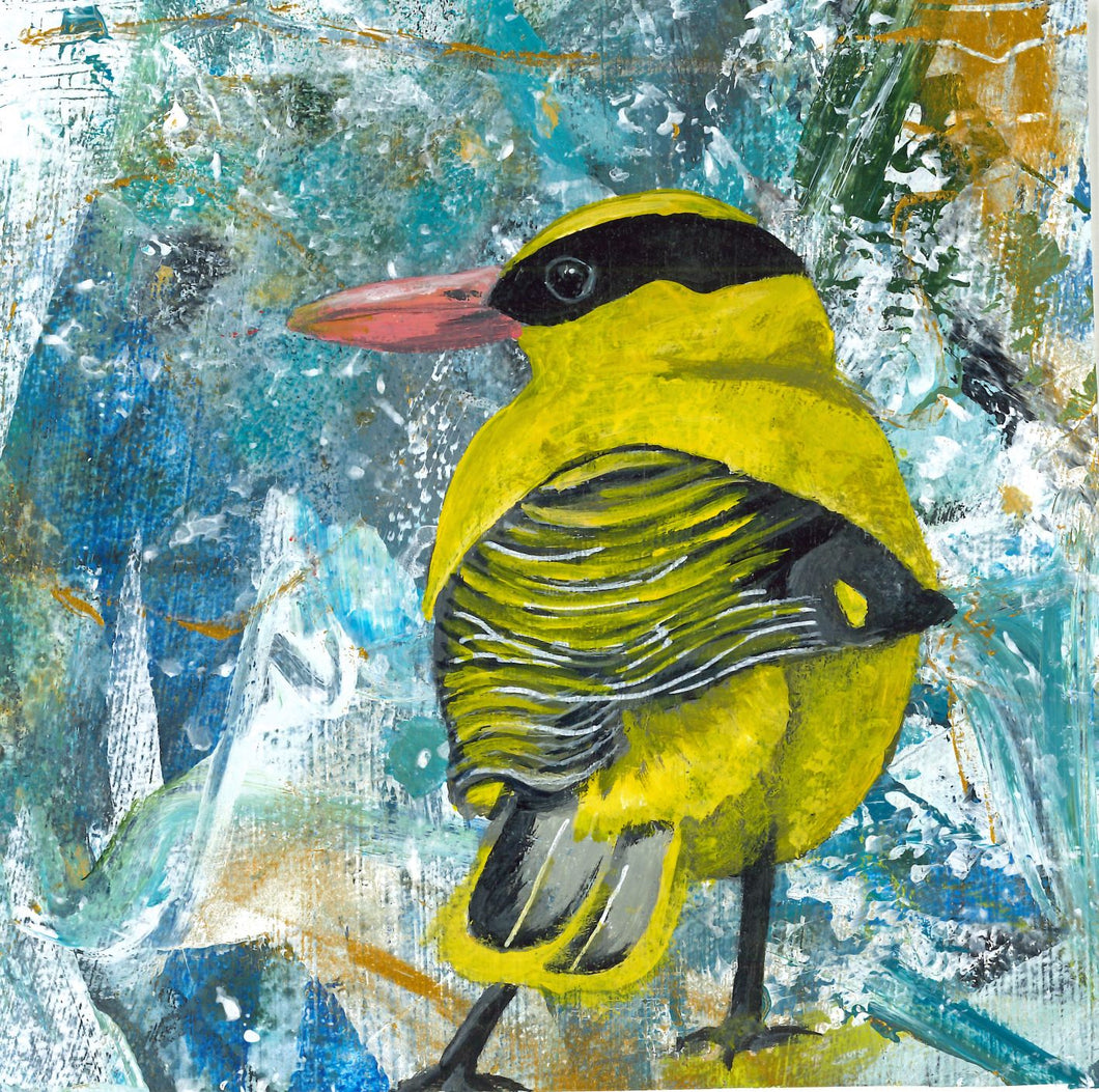 Greeting card - Black-naped Oriole