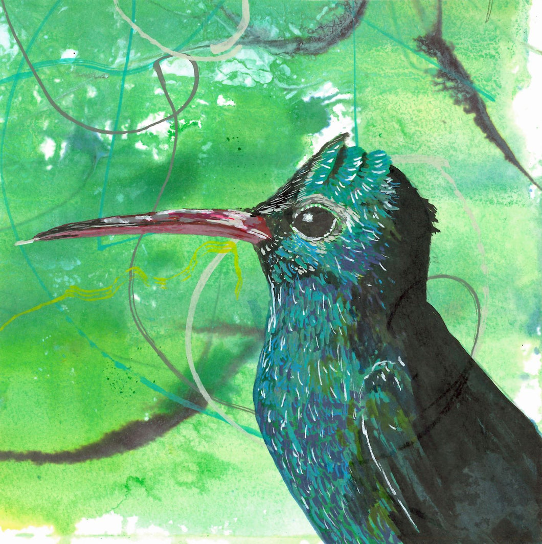 Greeting card - Broad-billed Hummingbird