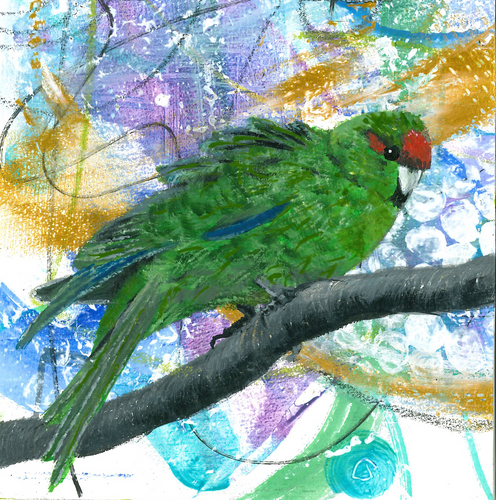Greeting card - Kākāriki - Red-crowned Parakeet
