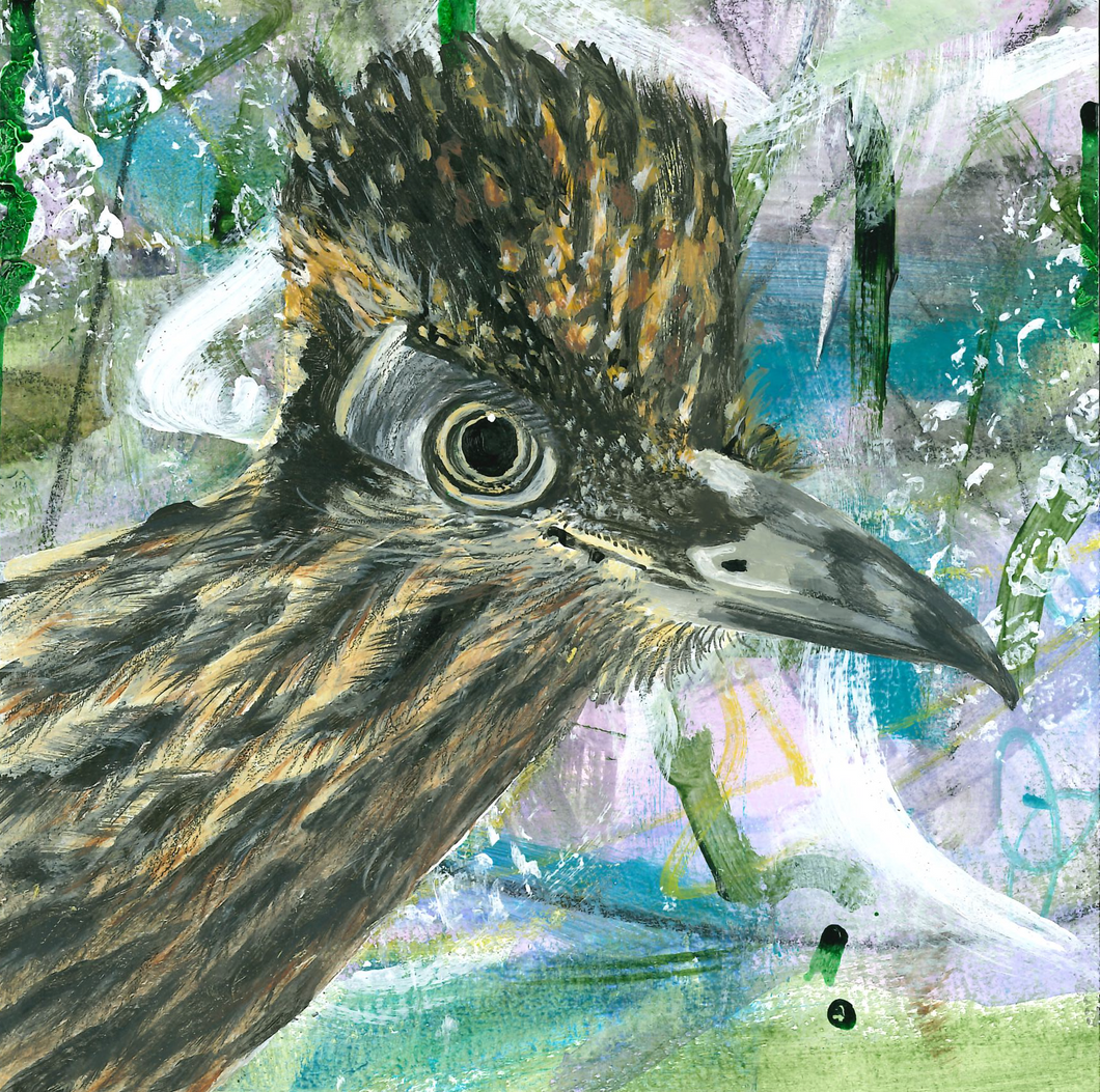 Greeting card - Greater Roadrunner